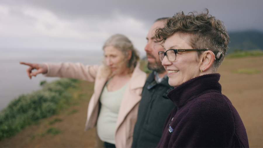 Curso para Audiólogos - Implantes Acústicos